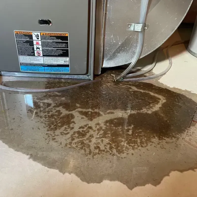 Appliance Leak Cleanup in Vernon Hills, IL